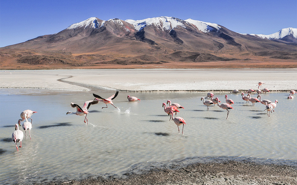 Top 10 Travel Destinations in Bolivia