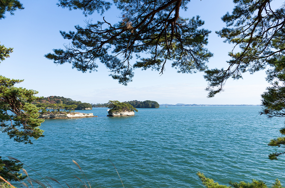 11 Best things to Do in Yuzuru Hanyu's hometown Sendai, Japan