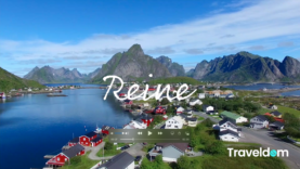 截屏2021-01-29 上午8.34.57