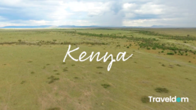 截屏2021-01-29 上午9.46.21