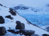 Antarctica0509