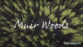 Screen Shot 2021-02-03 at 11.18.57 AM