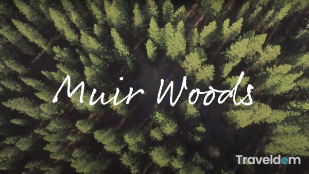 Screen Shot 2021-02-03 at 11.18.57 AM