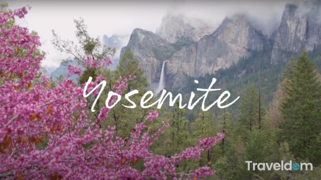 Screen Shot 2021-02-03 at 11.34.02 AM