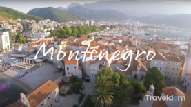 Screen Shot 2021-02-03 at 2.42.56 PM