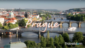 Screen Shot 2021-02-03 at 2.43.45 PM