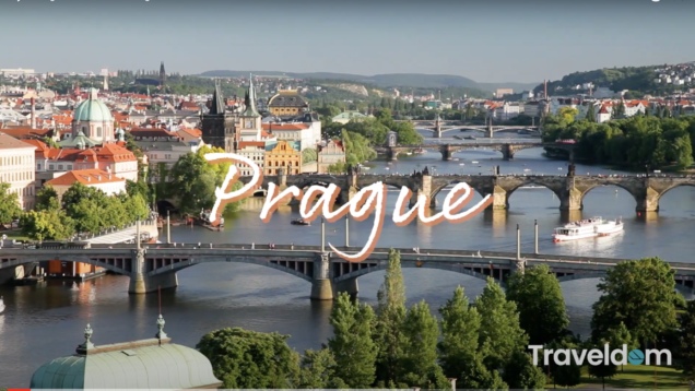 Screen Shot 2021-02-03 at 2.43.45 PM