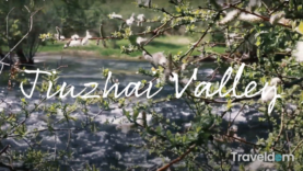 Screen Shot 2021-02-04 at 3.19.43 PM