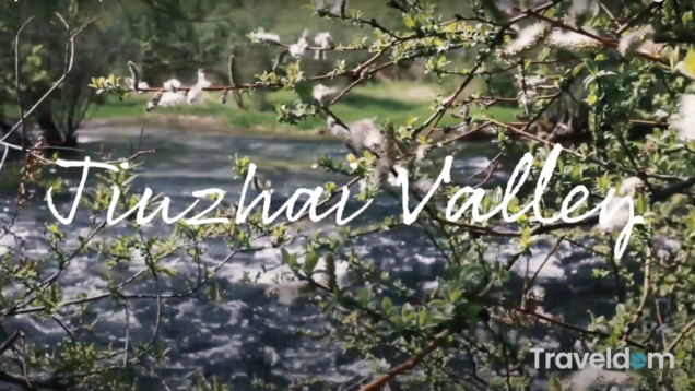 Screen Shot 2021-02-04 at 3.19.43 PM