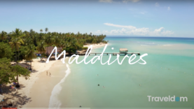 Screen Shot 2021-02-04 at 3.21.53 PM