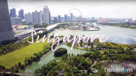 Screen Shot 2021-02-09 at 9.36.49 AM