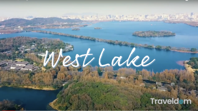 Screen Shot 2021-02-10 at 11.03.40 AM