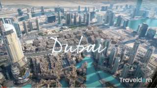 Screen Shot 2021-02-11 at 10.58.53 AM