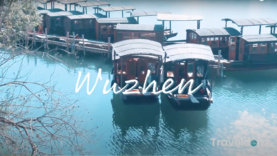 Screen Shot 2021-02-11 at 10.59.41 AM