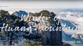 Screen Shot 2021-02-13 at 9.53.25 AM