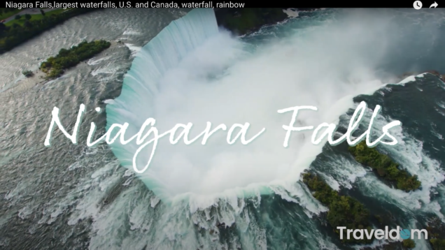 Screen Shot 2021-02-13 at 9.53.53 AM