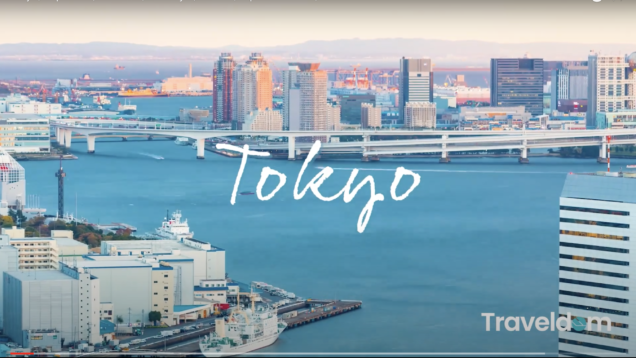 Screen Shot 2021-02-13 at 9.54.09 AM