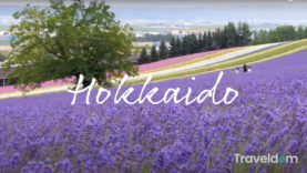 Screen Shot 2021-02-15 at 3.33.42 PM