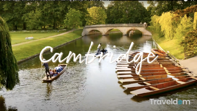 Screen Shot 2021-02-17 at 2.05.07 PM