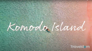 Screen Shot 2021-02-19 at 8.41.05 AM