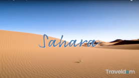 Screen Shot 2021-02-19 at 8.44.04 AM