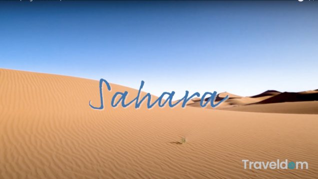 Screen Shot 2021-02-19 at 8.44.04 AM