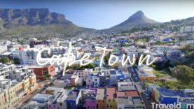 Screen Shot 2021-03-30 at 3.56.03 PM