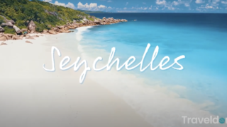 Screen Shot 2021-03-30 at 3.57.37 PM