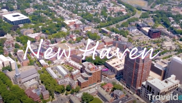 Screen Shot 2021-03-30 at 4.00.34 PM