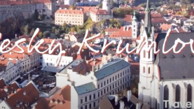 Screen Shot 2021-04-06 at 3.38.03 PM