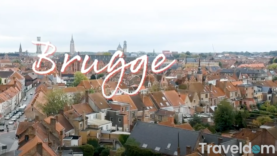 Screen Shot 2021-04-10 at 11.03.33 AM