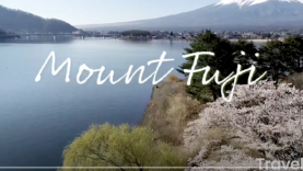 Screen Shot 2021-04-14 at 11.25.30 AM