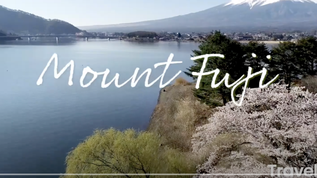 Screen Shot 2021-04-14 at 11.25.30 AM