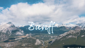 Screen Shot 2021-04-19 at 3.39.18 PM