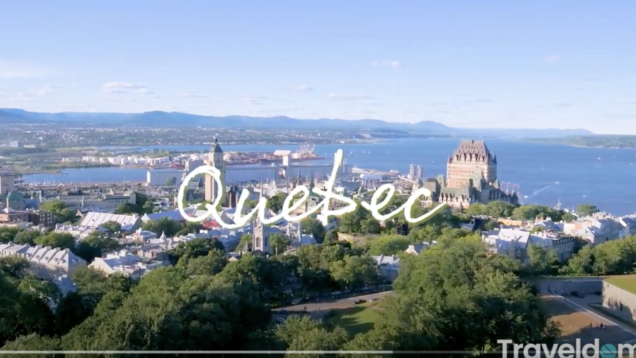 Screen Shot 2021-05-02 at 9.12.03 AM