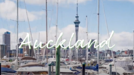 Screen Shot 2021-05-07 at 10.04.24 AM