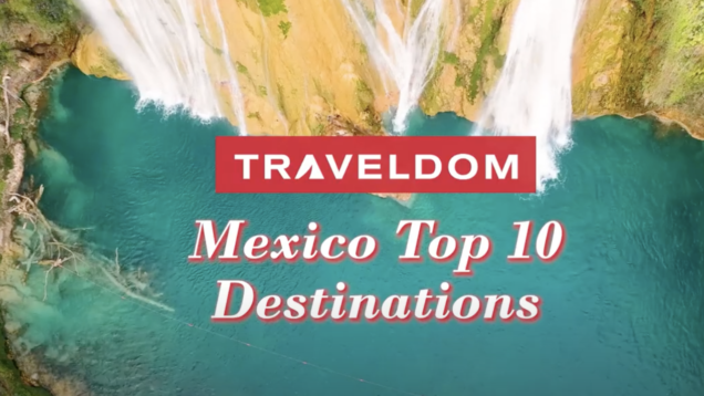 Screen Shot 2021-06-08 at 3.50.34 PM