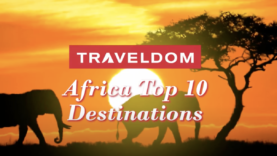 Screen Shot 2021-06-11 at 3.56.57 PM