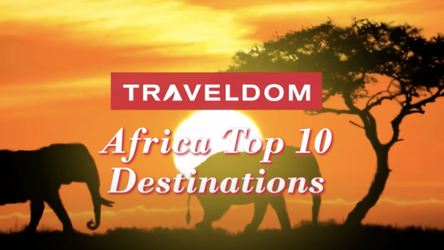 Screen Shot 2021-06-11 at 3.56.57 PM